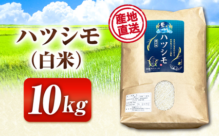 令和6年度産】岐阜県産 米 ハツシモ 10kg 白米 [ANHI002] | 岐阜