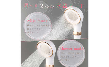 ピュアラスファイン ルミナス＋浄水カートリッジ2本セット TK-P701＆TK-T502 シャワーヘッド 日本製 ファインバブル 岐阜市 / TKS[ANHK003]