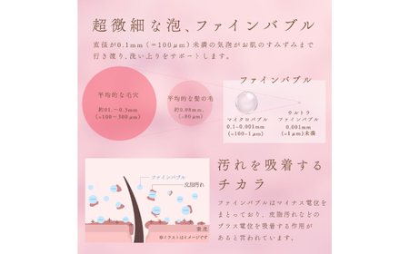 ピュアラスファイン ルミナス＋浄水カートリッジ2本セット TK-P701＆TK-T502 シャワーヘッド 日本製 ファインバブル 岐阜市 / TKS[ANHK003]