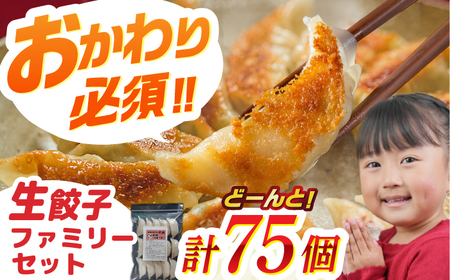 餃子 「新助」の餃子 ファミリーセット(75個入り) [ANHL002] 餃子