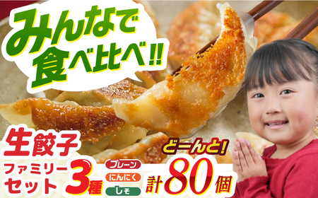 餃子 生餃子 ファミリーセット(80個入り) [ANHL005] 餃子