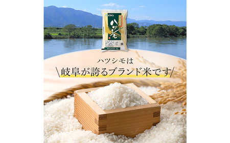 米 【R7年産】ハツシモ5kg　[ANHS001] 米