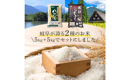 米 【R7年産】飛騨こしひかり・ハツシモ食べ比べセット(各5kg)　[ANHS003] 米