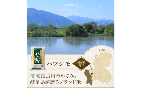 米 【R7年産】飛騨こしひかり・ハツシモ食べ比べセット(各5kg)　[ANHS003] 米