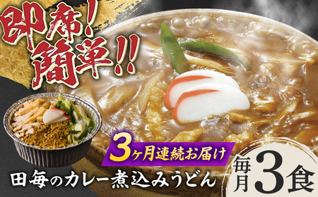 うどん 【3回定期便】田毎のカレー煮込みうどんセット [ANFP006] うどん
