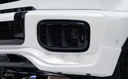 バンパーグリルフィン バンパーグリルフィン W465 G450d G580 [ANHT009] バンパーグリルフィン