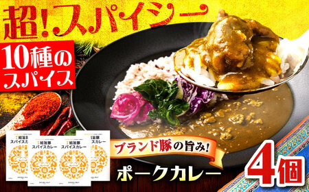 結旨豚スパイスポークカレー 4個セット 豚肉 ポークカレー カレー 岐阜市 / だるまミート[ANBE031]