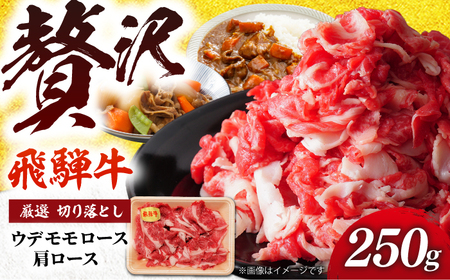 飛騨牛 厳選切り落とし250g（ウデ モモ ロース 肩ロース）（冷凍） 牛肉 肉 ブランド肉 岐阜市 / 羊Diningひとみしり[ANIF005]