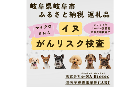 イヌ がんリスク検査【大切な家族のために】 ペット 検査キット 早期発見 岐阜市 / 株式会社e-NA Biotec[ANHE002]