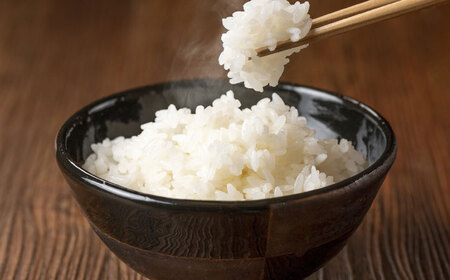 令和7年産 ハツシモ 白米 10kg 精米 米 ブランド米 岐阜市 / 川瀬ファーム[ANIB002]