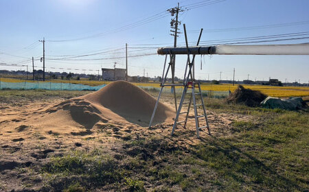 令和7年産 ハツシモ 白米 10kg 精米 米 ブランド米 岐阜市 / 川瀬ファーム[ANIB002]