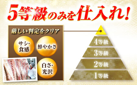 切り落とし肉1kg A5等級飛騨牛 肉の松久[ANIP002]