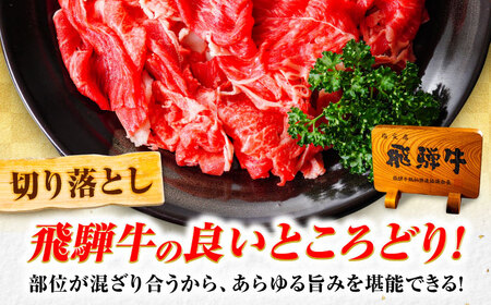 切り落とし肉1kg A5等級飛騨牛 肉の松久[ANIP002]