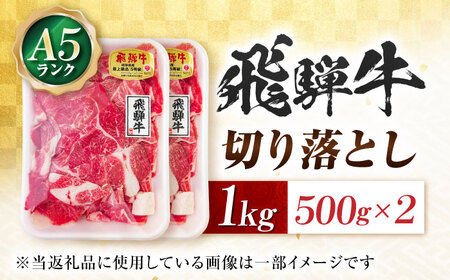 切り落とし肉1kg A5等級飛騨牛 肉の松久[ANIP002]