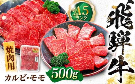 飛騨牛 A5等級 焼肉用 カルビ・モモ 500g カルビ カルビ焼肉 カルビ肉 もも肉 焼肉 焼き肉 やきにく 焼肉セット 焼肉用 赤身 最高級 a5 A5 牛 和牛 牛肉 お肉 高級 贈答ギフト 岐阜市 / 肉の松久[ANIP003] 11,250円