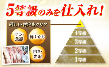 しゃぶしゃぶ・すきやき用ロース500g A5等級飛騨牛 肉の松久[ANIP009]