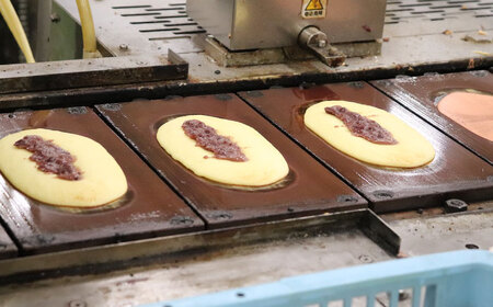 和菓子 跳（おどり）あゆ 10個 [ANAL005] 和菓子