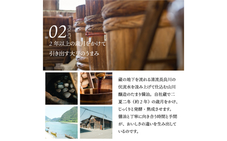 醤油 十水仕込溜醤油セット 500ml×2本 [ANAD006] 醤油