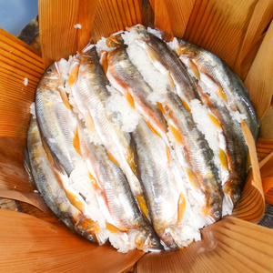 鮎 長良川 天然鮎 鮎鮓（なれずし） [ANBN003] 鮎