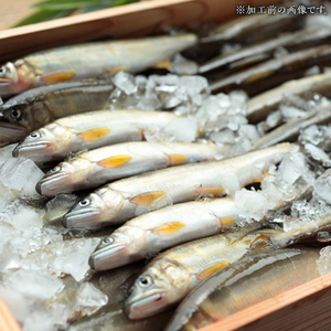 鮎 長良川 天然鮎 鮎鮓（なれずし） [ANBN003] 鮎