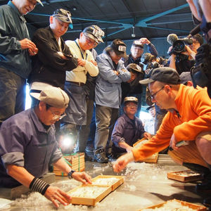 鮎 長良川 天然鮎 鮎鮓（なれずし） [ANBN003] 鮎