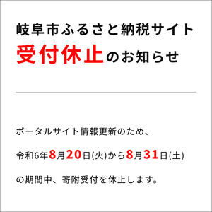 スーパーナノバブルトルネーダSP ナノバブル発生装置 洗濯機に簡単取付 繊維の奥まで洗浄 タテ型 ドラム 部屋干し 岐阜市/高納商店 [ANCW001]