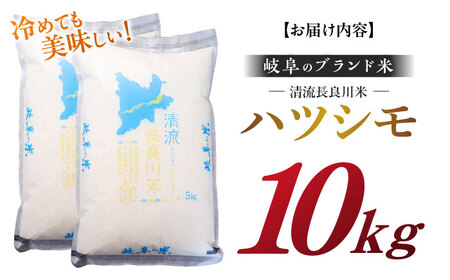【R7年産】白米ハツシモ 10kg 白米 10kg[ANCU003]