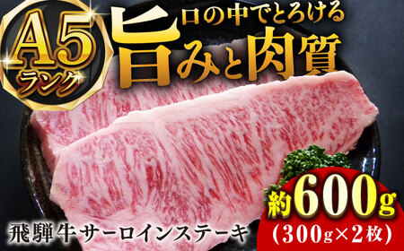 A5等級飛騨牛サーロインステーキ600g 和牛 BBQ 霜降り 岐阜市/小川ミート [ANAJ002]