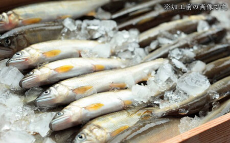 鮎 長良川 天然鮎 赤煮 [ANBN001] 鮎