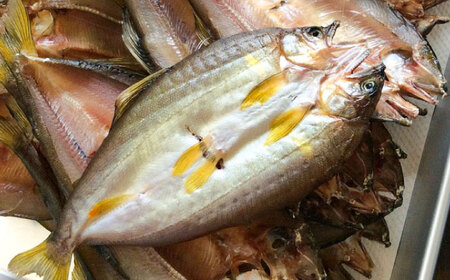 鮎 長良川 天然鮎 一夜干し [ANBN002] 鮎