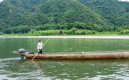 鮎 長良川 天然鮎 一夜干し [ANBN002] 鮎