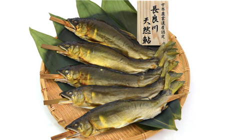 鮎 長良川 天然鮎 踊焼き[ANBN005] 鮎