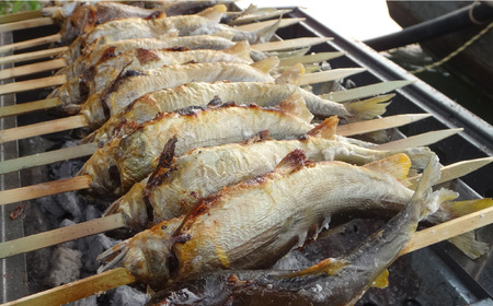 鮎 長良川 天然鮎 踊焼き[ANBN005] 鮎