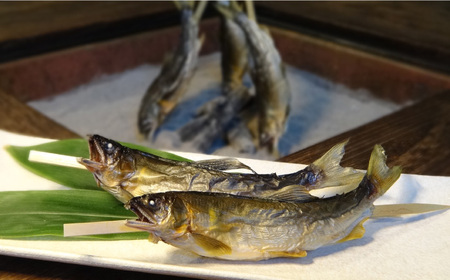 鮎 長良川 天然鮎 踊焼き[ANBN005] 鮎