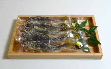 鮎 長良川 天然鮎 踊焼き[ANBN005] 鮎