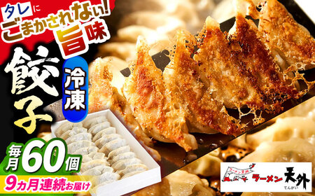 餃子 【9回定期便】冷凍自家製餃子セット６０個 [ANCT024] 餃子