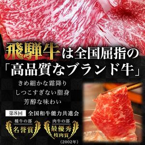 【3ヶ月定期便】A5等級飛騨牛サーロインステーキ用1kg