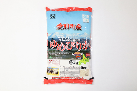 【A15202】愛別町産米（ゆめぴりか5kg×2袋）