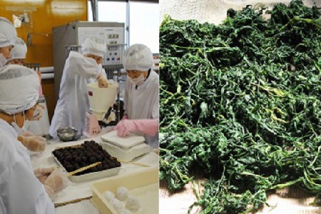 切り餅・丸餅セット【E16206】