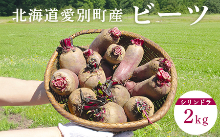 季節限定 ビーツ(シリンドラ)2kg【B06401】