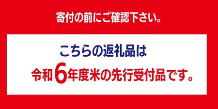 【先行受付】令和６年度産ななつぼし１０kg【A59101】