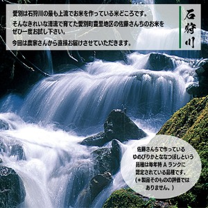 【先行受付】令和６年度産ななつぼし１０kg【A59101】