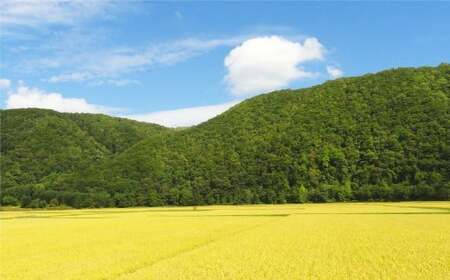 愛別町への寄附 500,000円 （返礼品はありません）