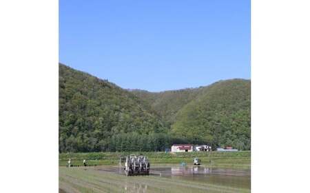 令和7年度産 ななつぼし 10kg  米 精米 白米 【2025年10月下旬～2026年3月下旬発送予定】 011-0025