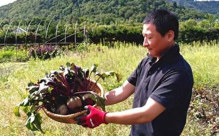 季節限定 ビーツ （レッドエース） 約4kg 野菜 やさい 健康野菜 スーパーフード 冷蔵 北海道 愛別町