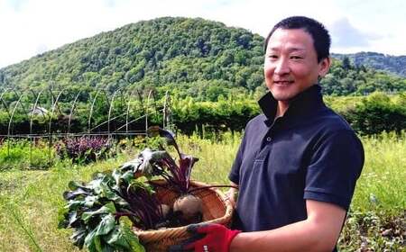 季節限定 ビーツ （レッドエース） 約4kg 野菜 やさい 健康野菜 スーパーフード 冷蔵 北海道 愛別町