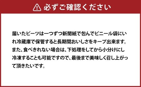 季節限定 ビーツ （レッドエース） 約4kg 野菜 やさい 健康野菜 スーパーフード 冷蔵 北海道 愛別町