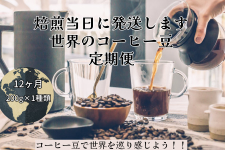 【コーヒー豆 定期便 12回】 200g×1種類 世界を旅する コーヒー 酸味は苦手、浅煎り抜き 『焙煎幸房“そら”』 定期便