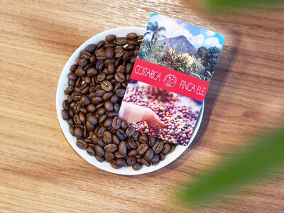 【コーヒー豆定期便12か月】『焙煎幸房“そら”』世界を旅するコーヒー 浅煎り～深煎りおまかせ 200g×2袋(2種類合計400g)