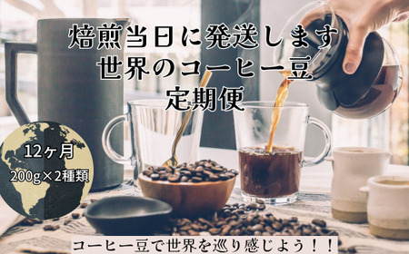 【コーヒー豆定期便12か月】『焙煎幸房“そら”』世界を旅するコーヒー 酸味は苦手、浅煎り抜き 200g×2袋(2種類合計400g)